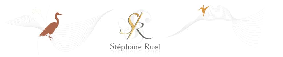 Stéphane Ruel – Graphiste Webdesigner Photographe en Avignon Logo